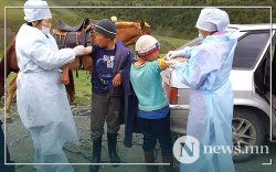 Тува: 3000 гаруй хүнийг тарваган тахлын эсрэг вакцинд хамруулна