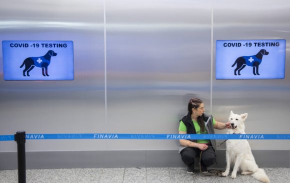 Финландын нисэх буудал нохойгоор коронавирус оношлуулж эхэлжээ