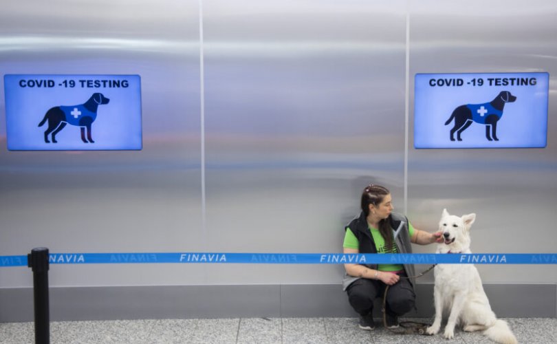 Финландын нисэх буудал нохойгоор коронавирус оношлуулж эхэлжээ