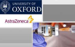 Оксфордын их сургуулийн бүтээж буй вакцины туршилтыг зогсоожээ
