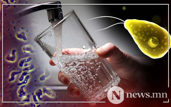 АНУ-ын найман хотын ундны уснаас тархи иддэг нян илэрчээ