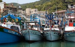 Тайвань: Далайн дээрэмчдийг хөнөөсөн хятад ахмадад ял онооно