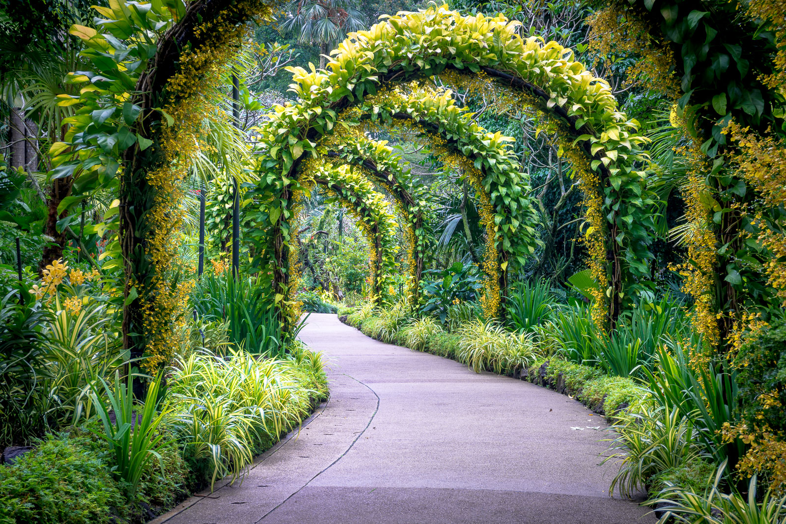 POW: Golden Arches in Singapore's Botanical Gardens