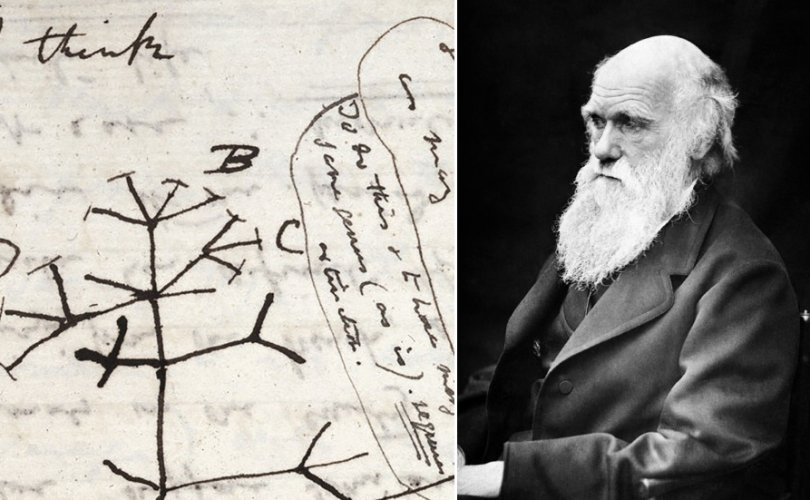 Чарльз Дарвины гар тэмдэглэл Кембриджийн номын сангаас алдагджээ