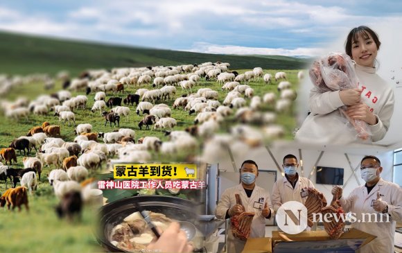 Монголын бэлэглэсэн хонь Уханийн эмч нарт хүрчээ