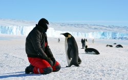Халдваргүй үлдсэн сүүлчийн тив Антарктидад Сovid-19 бүртгэгдлээ