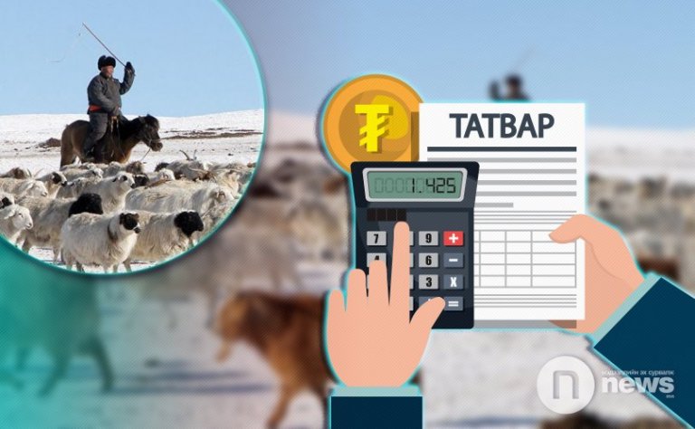 Малчид 2021 оноос малын хөлийн татвар төлнө | News.MN