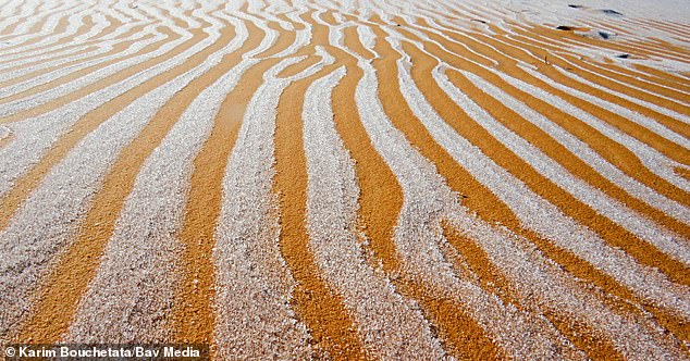 38110752-9156697-A_photographer_has_captured_ice_on_the_sand_dunes_in_the_Sahara_-a-84_1610897374721