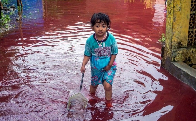 Индонезийн тосгон улаан үерт автжээ