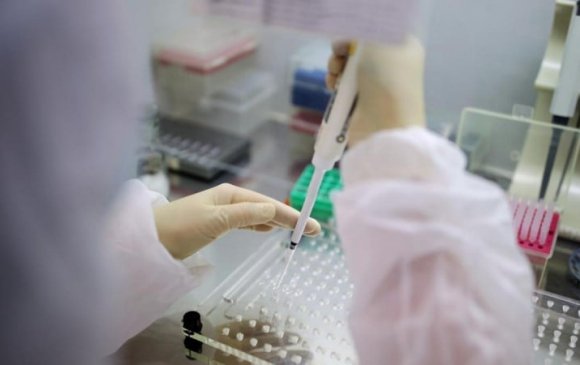 Сонгинохайрхан дүүргийн 2087 хүн PCR шинжилгээнд хамрагдлаа