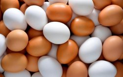 Өнөөдөр худалдаанд 1.300.000 ширхэг өндөг нийлүүлэгдэж байна