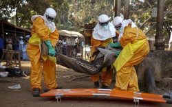 Гвинейд эбола вирусийн халдвар дэгдэж 3 хүн нас баржээ