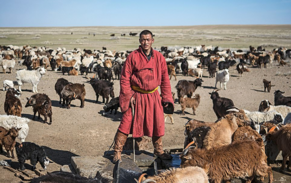 Их Британийн “Dailymail” сонин монголчуудын нүүдэлчин соёлыг онцолжээ