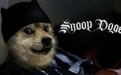 Шинэ криптовалют Dogeсoin шинэ дээд амжилт тогтоолоо