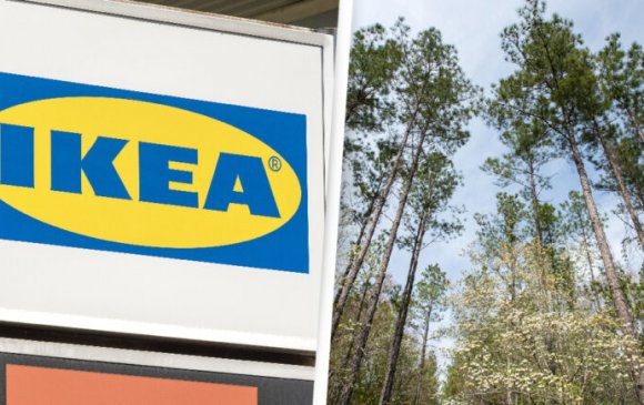 IKEA компани АНУ-д ой худалдан авч үйлдвэржилтээс хамгаалж байна