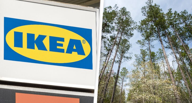 IKEA компани АНУ-д ой худалдан авч үйлдвэржилтээс хамгаалж байна