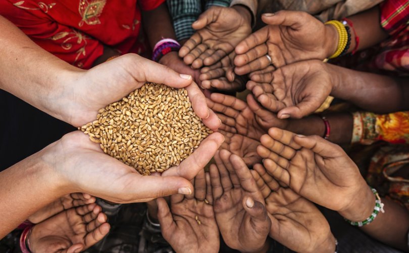 НҮБ: Дэлхий урьд өмнө нь тохиож байгаагүй их өлсгөлөнд ойрхон байна