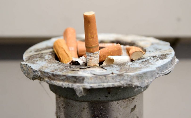 Эрдэмтэд: 10-20 жилийн дараа залуус тамхинаас бүрэн татгалзана