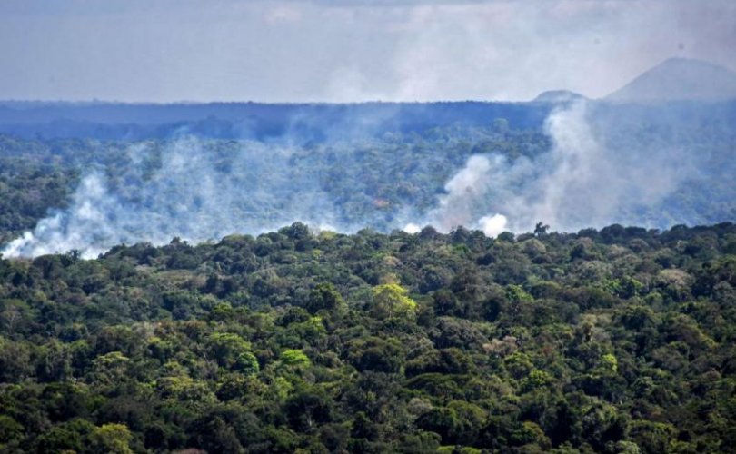АНУ тэрбум доллар төлбөл Бразил ой устгахаа багасгана