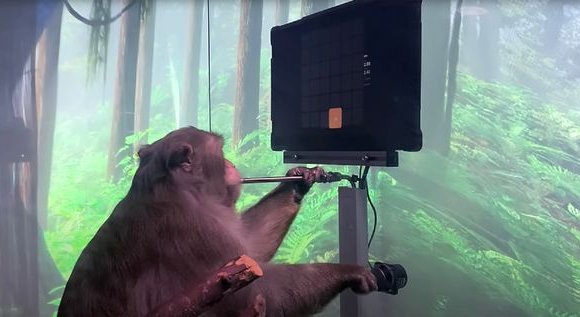 Тархиндаа чиптэй сармагчнаар компьютер тоглоом тоглуулав