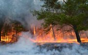 ОБЕГ: Ой, хээрийн 7 түймрийг унтраахаар ажиллаж байна