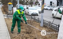 Гудамжинд тарьсан мод хулгайлбал 30 хоног баривчилна