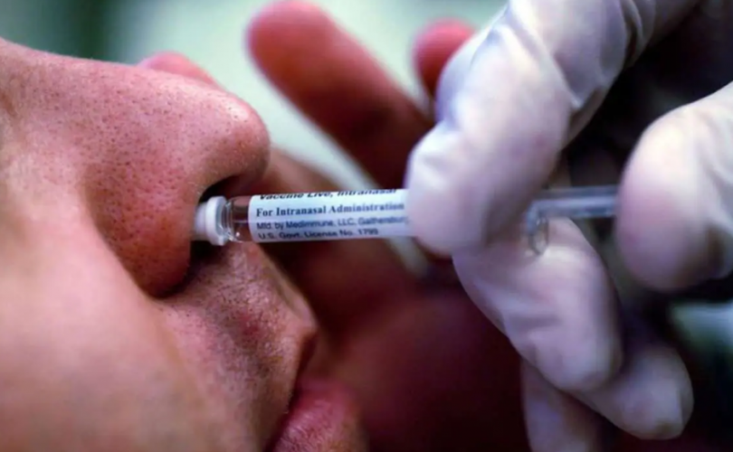 Оросын эрдэмтэд хамрын цацлага хэлбэрийн вакцин бүтээж байна
