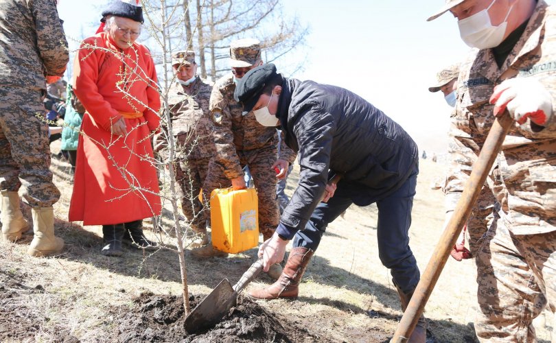 Сурвалжлага: Цэргийнхэн шүтээн хайрхандаа 20 мянган мод тарилаа