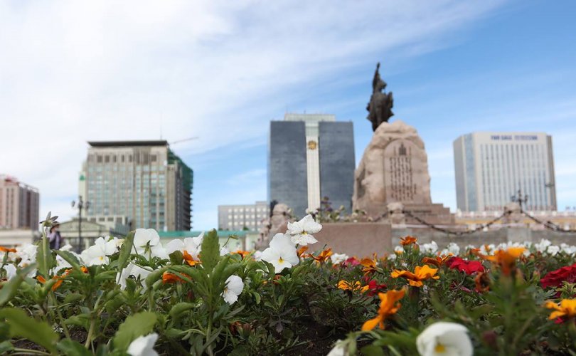 Улаанбаатар хотын 24 байршилд цэцэг суулгаж байна