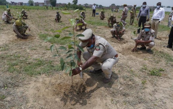 Энэтхэгчүүд 250 сая мод тарьж байна