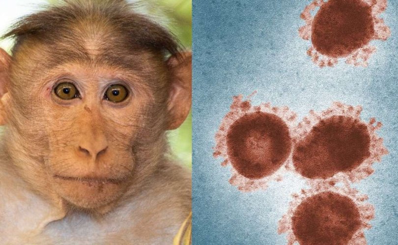 АНУ, Хятадад сармагчнаас хүнд халддаг өвчин бүртгэгдэв