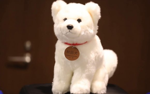 Японы Ерөнхий сайд Л.Оюун-Эрдэнэд Акита нохой бэлэглэжээ