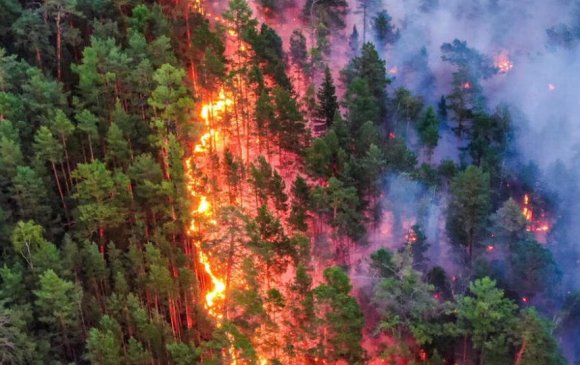 Сэрэмжлүүлэг: Монголд нийт 122.6 га талбай түймэрт өртжээ