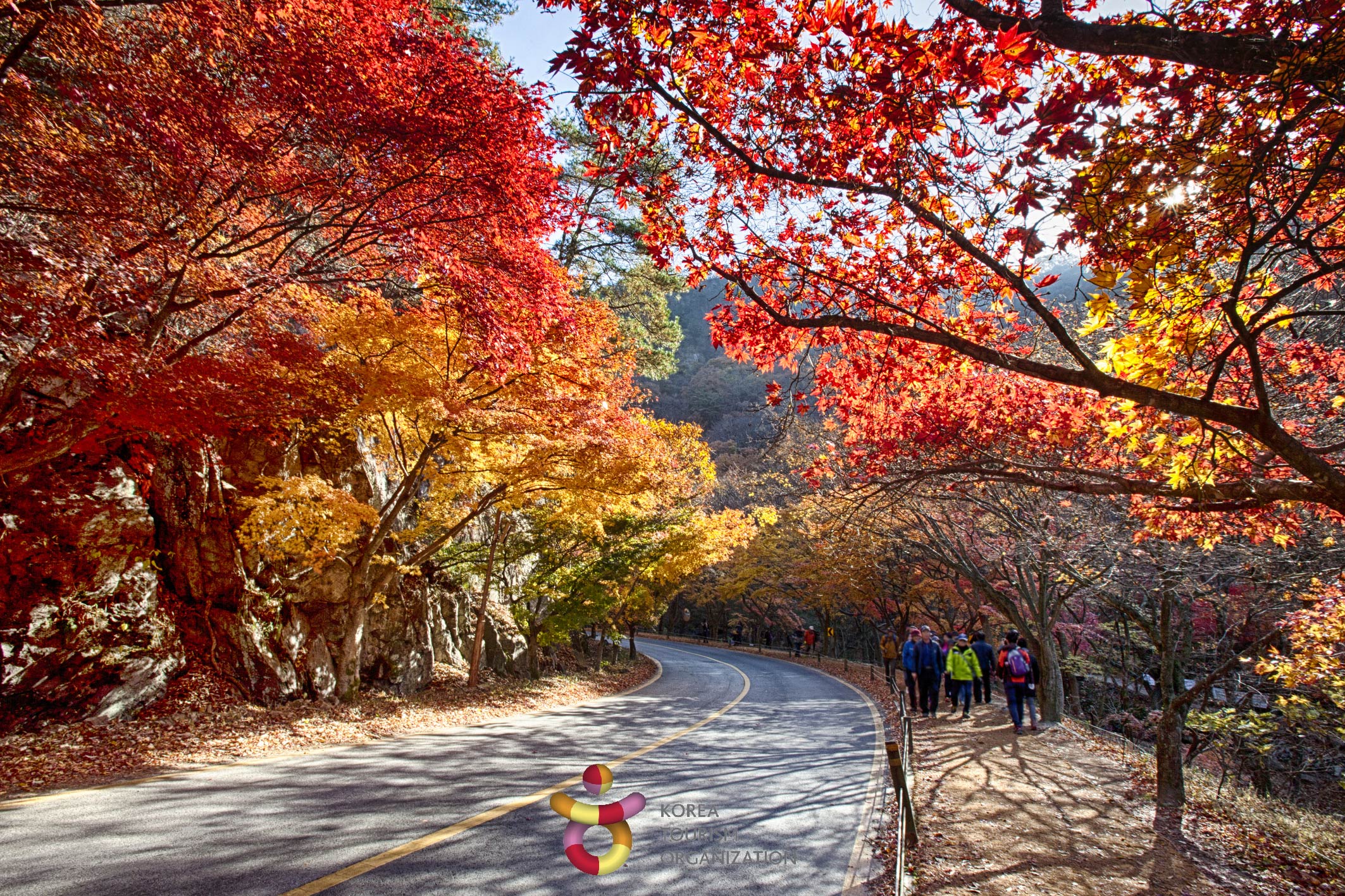 1115001201711020k_Naejangsan Mountain