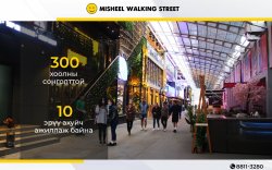 Мишээл Walking street: 10 эрүүл ахуйч хяналт тавин ажилладаг