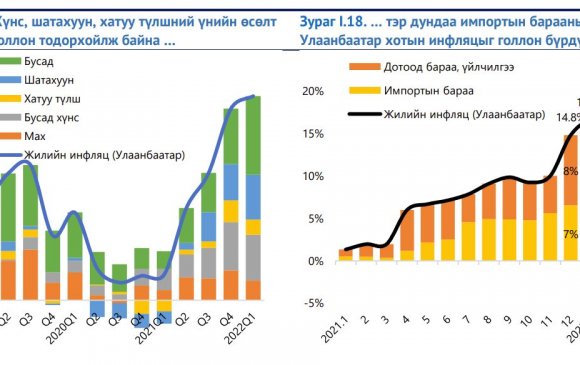 Монголын инфляци: Олон улсын санхүүгийн байгууллагуудын дүгнэлтүүд