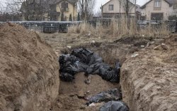 Киевийн ойролцоох булшнуудаас 900 цогцсыг олжээ