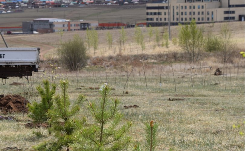 ОХУ-аас Монгол Улсад суугаа ЭСЯ-ны ажилтнууд "Тэрбум мод" үндэсний хөдөлгөөнд оролцов