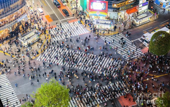 Япон: Гадаад ажилчдын 40 хувь нь эх орондоо буцалгүй үлддэг