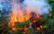 Долоо, наймдугаар сард ой хээрийн түймрийн эрсдэл нэмэгддэг