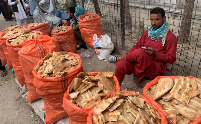 Афганчууд хуучин талхны үлдэгдлээр амь зогоож байна