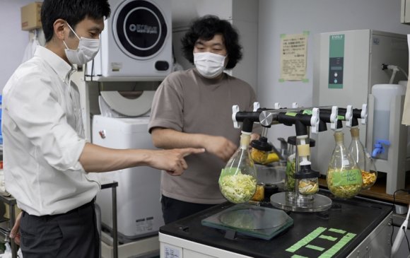 Японы эрдэмтэд хүнсний хаягдлаар байшин барина