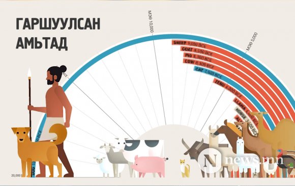 Инфографик: Хүн төрөлхтний гаршуулсан амьтад