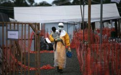 Конго улсад эбола вирус илрэв
