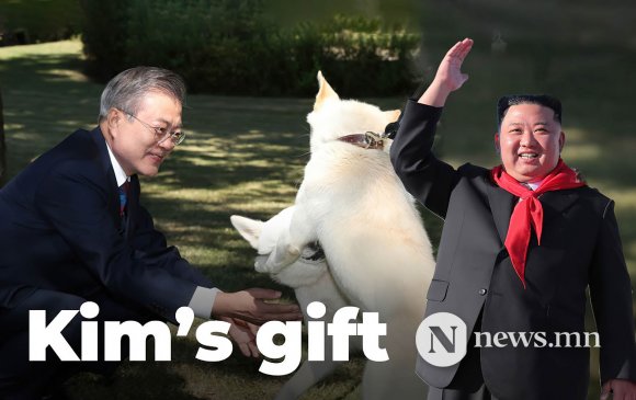 Хойд Солонгос: Нохойг соёлын өвд бүртгэв
