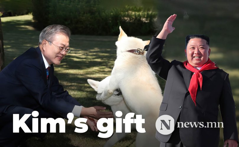 Хойд Солонгос: Нохойг соёлын өвд бүртгэв