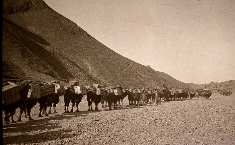 Оскар Мамен: 1911.12.29 Монголд