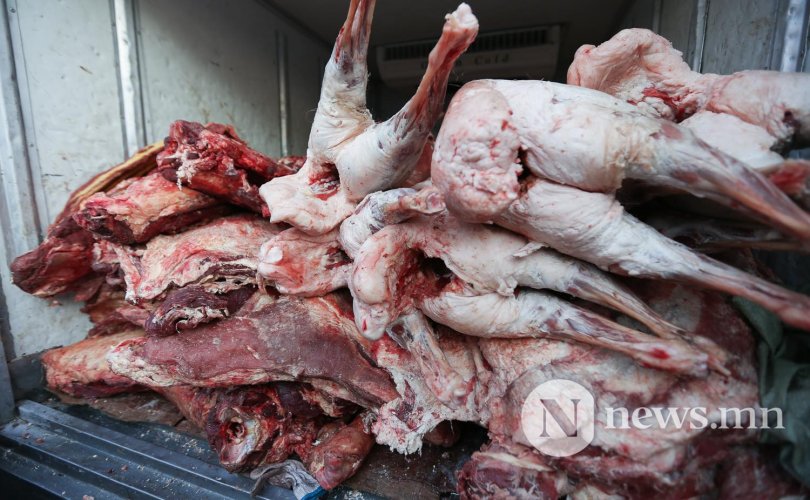 “Монгол Улс 2022 онд 14.3 мянган тонн мах экспортолсон”