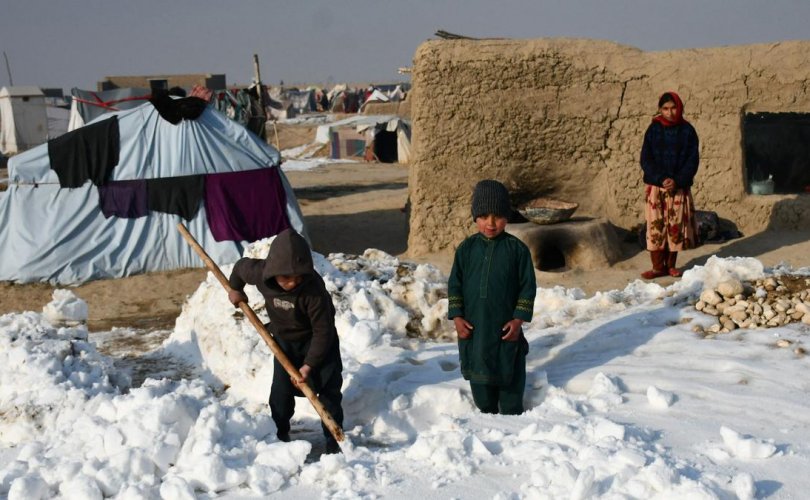 Афганистанд хүйтнээс болж 70 хүн нас барав