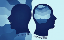 Интроверт хүмүүсийн 4 чадвар